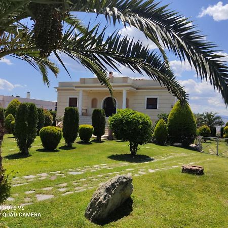 Luxury Villa Thea فولوس المظهر الخارجي الصورة