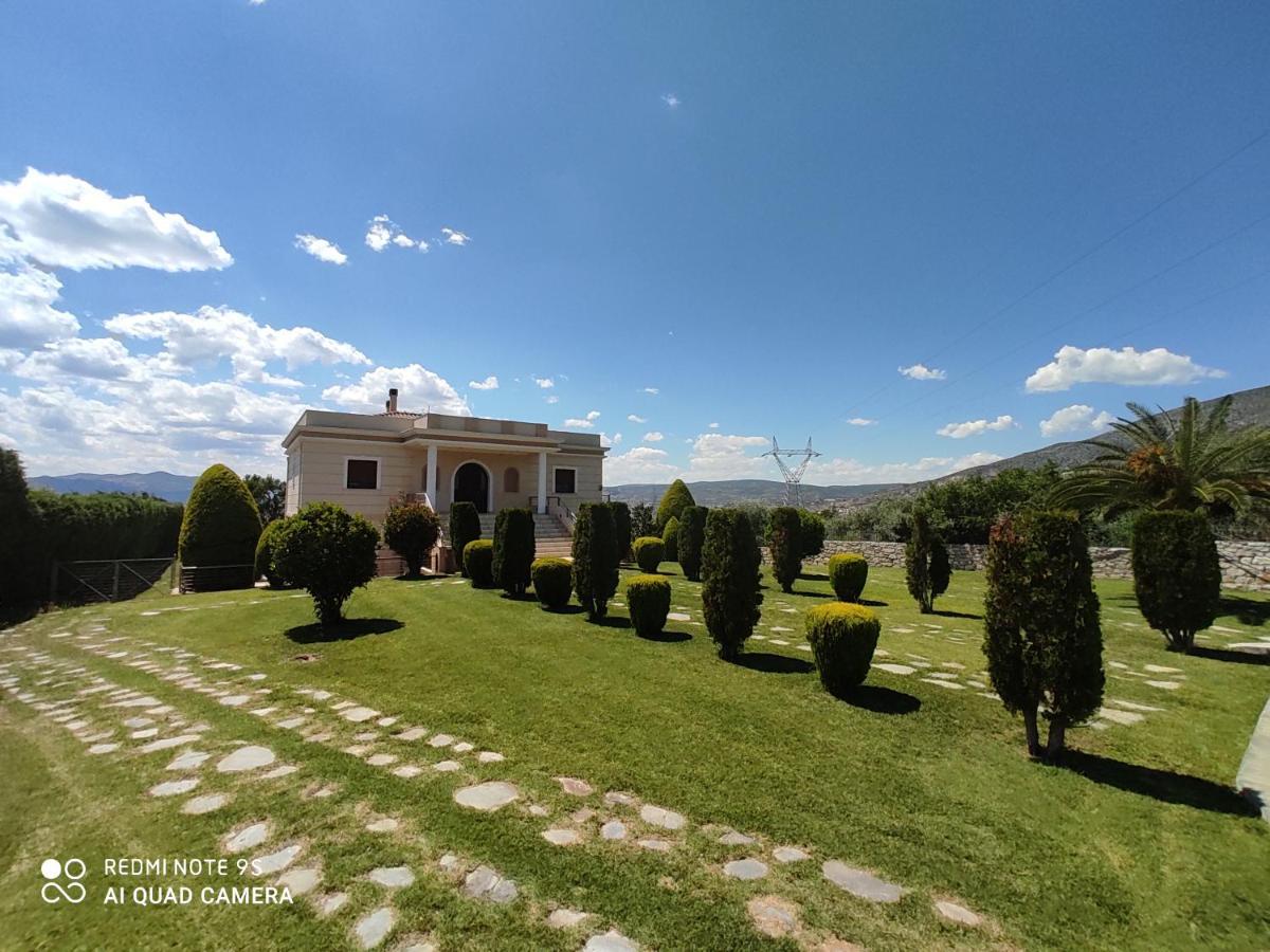 Luxury Villa Thea فولوس المظهر الخارجي الصورة