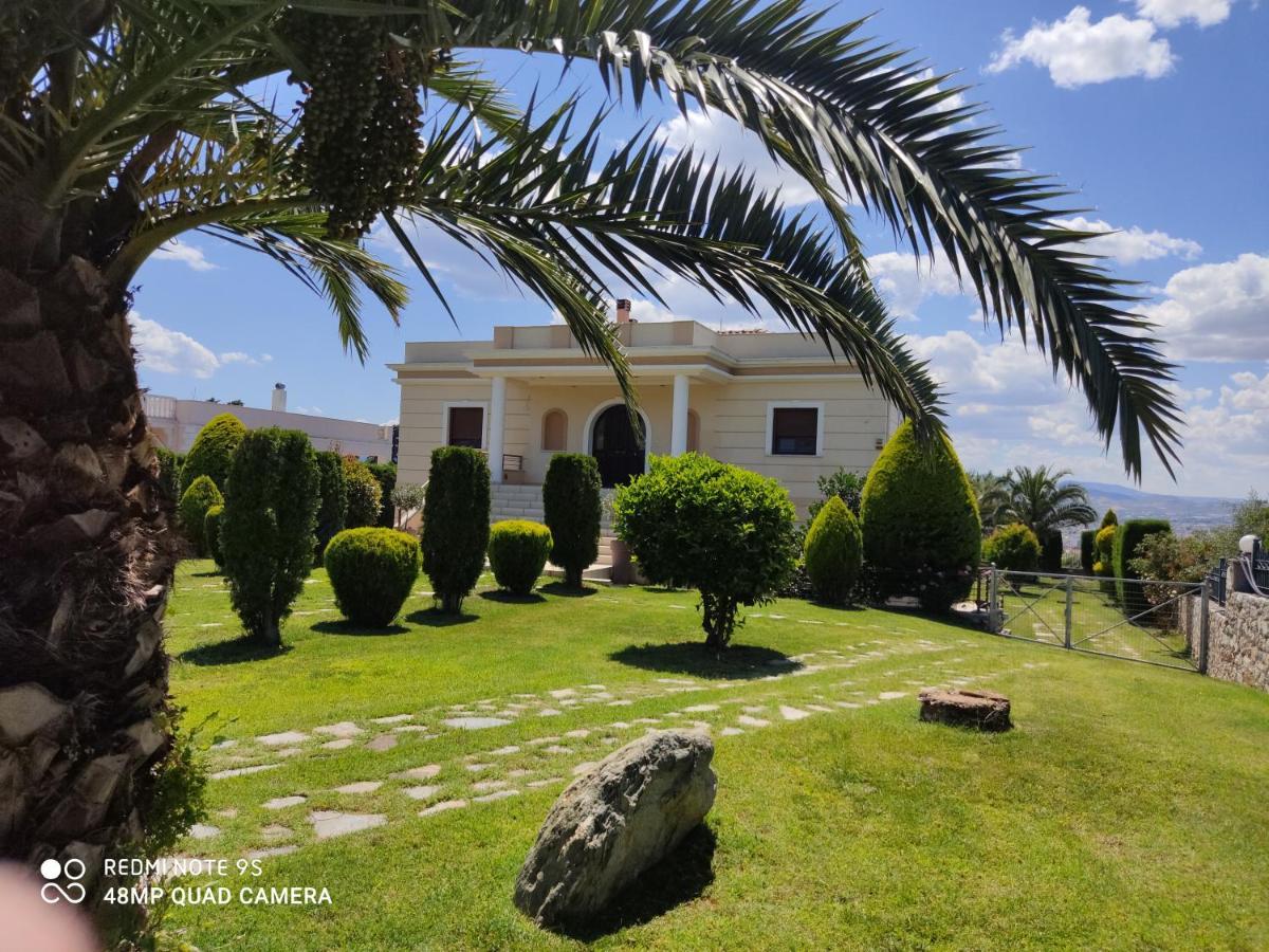 Luxury Villa Thea فولوس المظهر الخارجي الصورة
