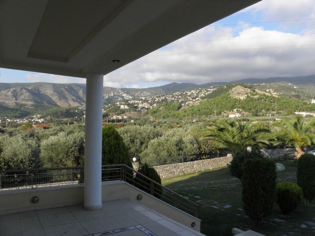 Luxury Villa Thea فولوس المظهر الخارجي الصورة